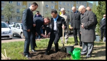 Urz�d Miejski w Wolsztynie
