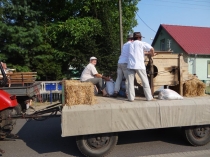 Urz�d Miejski w Wolsztynie