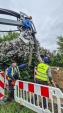 Urz�d Miejski w Wolsztynie