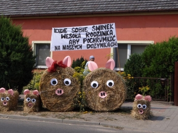 Urz�d Miejski w Wolsztynie