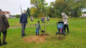 Urzd Miejski w Wolsztynie