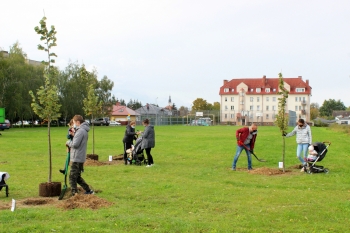 Urzd Miejski w Wolsztynie