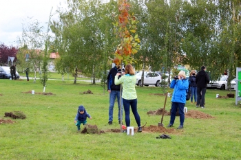 Urzd Miejski w Wolsztynie