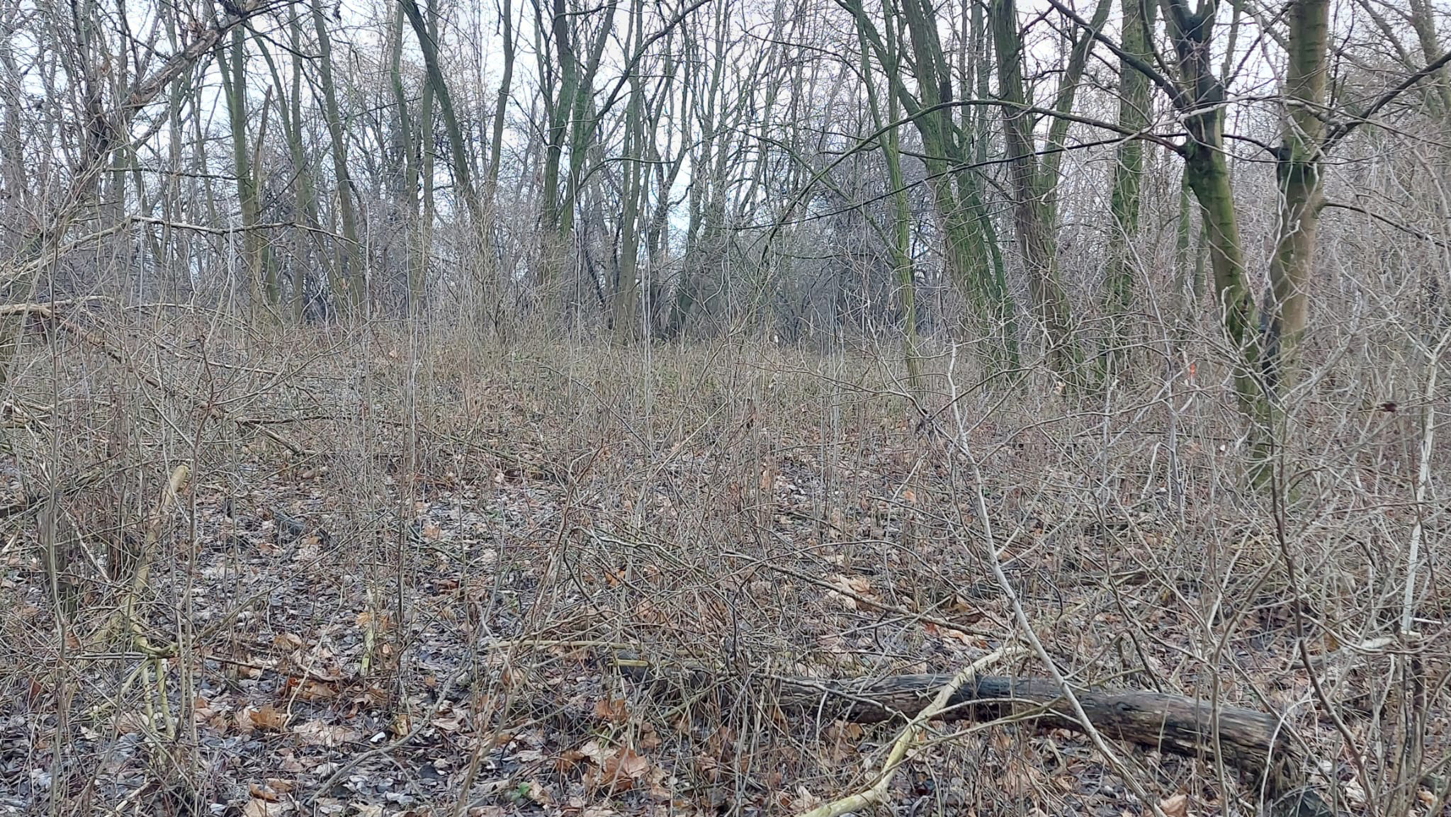 Urz�d Miejski w Wolsztynie