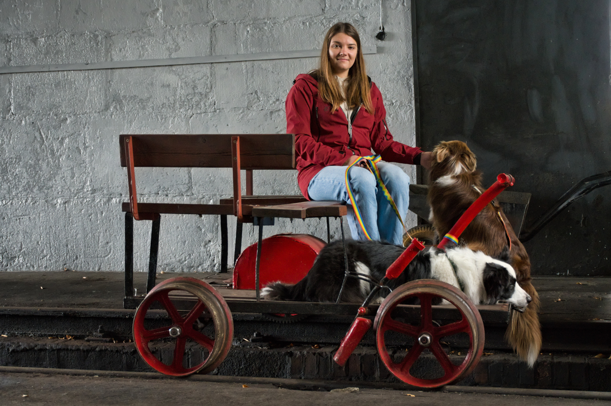 Urz�d Miejski w Wolsztynie