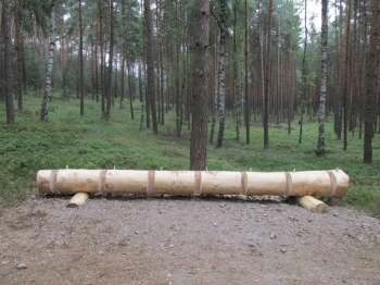 Urz�d Miejski w Wolsztynie