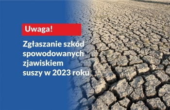 Urzd Miejski w Wolsztynie